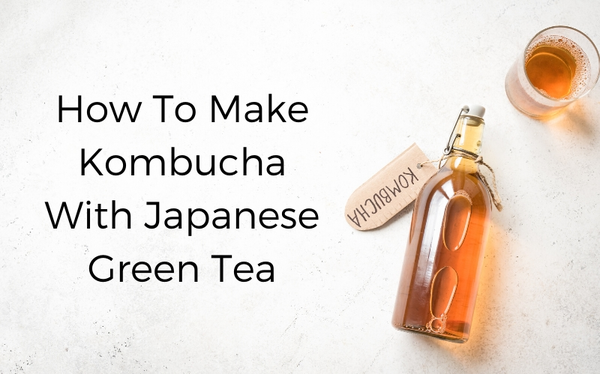How to make Kombucha with Japanese Green Tea