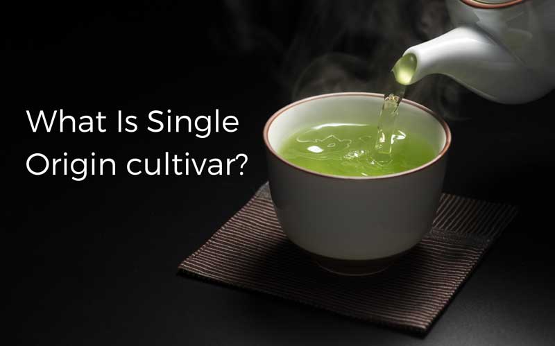What is single origin cultivar?