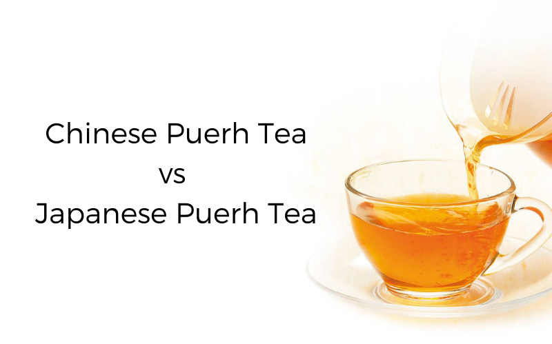 Chinese Puerh Tea vs Japanese Puerh Tea