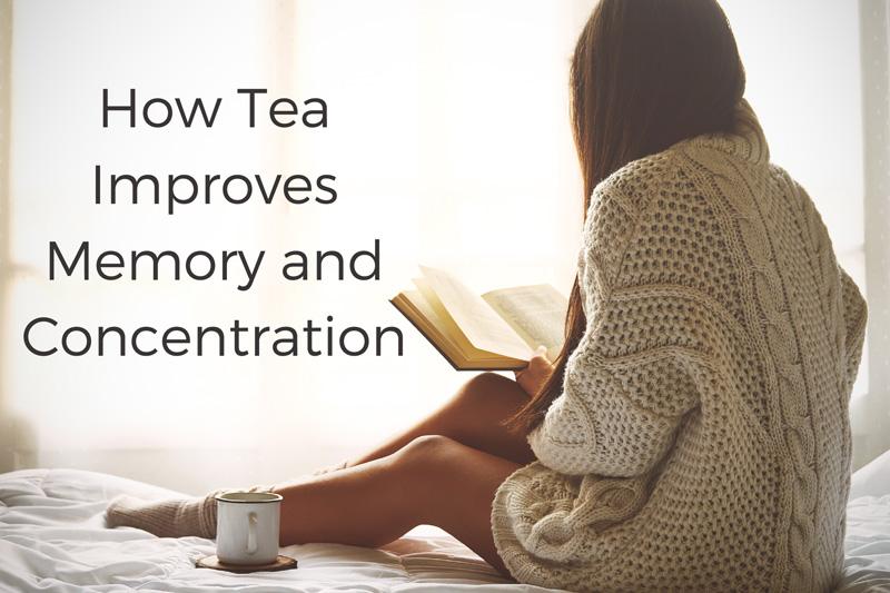 How Tea Improves Memory and Concentration