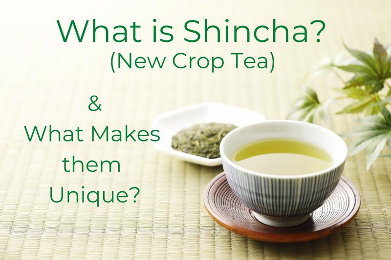 What is Shincha (New Crop Tea) And What Makes Them Unique?