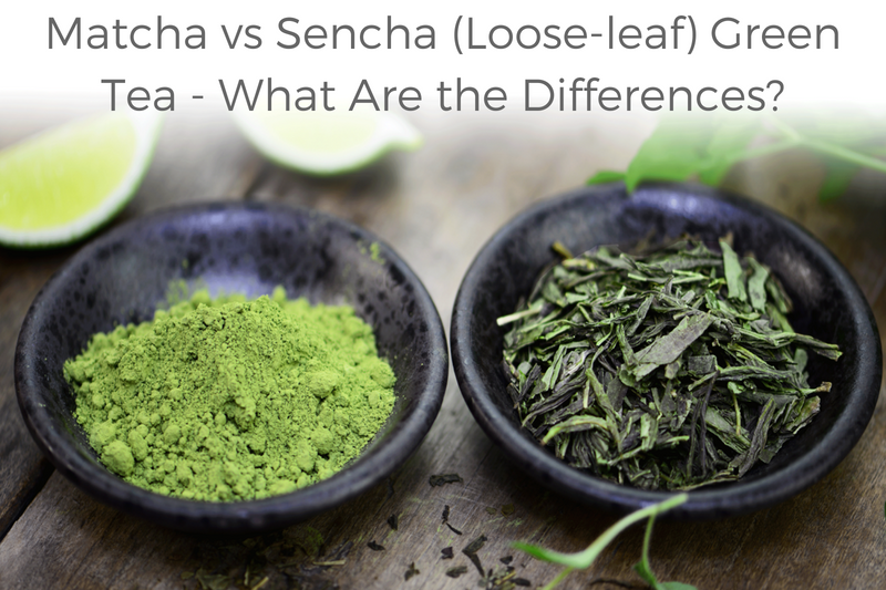 MATCHA VS SENCHA (LOOSE-LEAF) GREEN TEA: WHAT ARE THE DIFFERENCES?