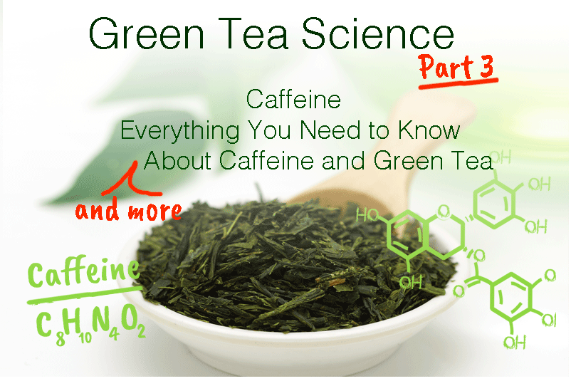 GREEN TEA SCIENCE PART 3: CAFFEINE – EVERYTHING YOU NEED TO KNOW (AND MORE) ABOUT CAFFEINE AND GREEN TEA