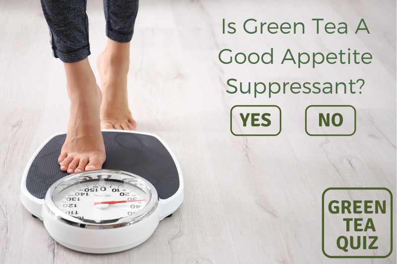 Is Green Tea An Effective Appetite Suppressant & Weight Loss Aid?